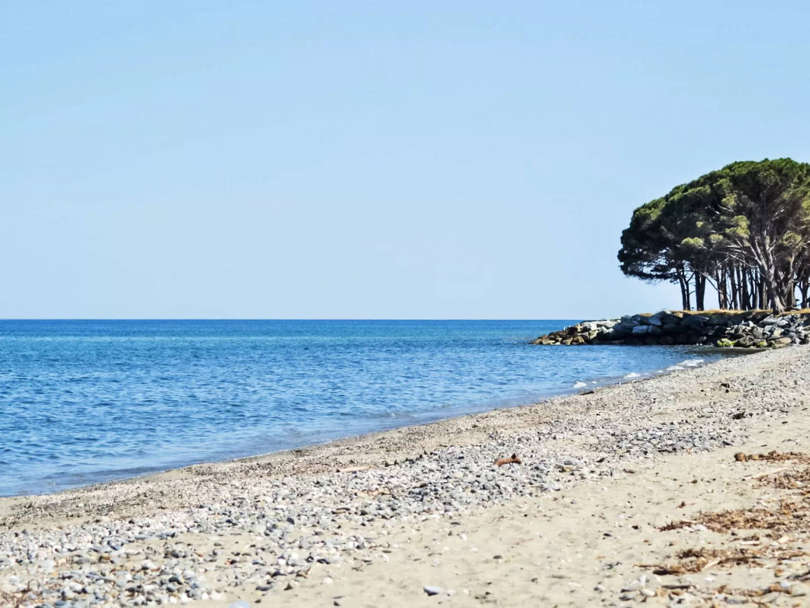 Lodge Natura 6p - Buiten