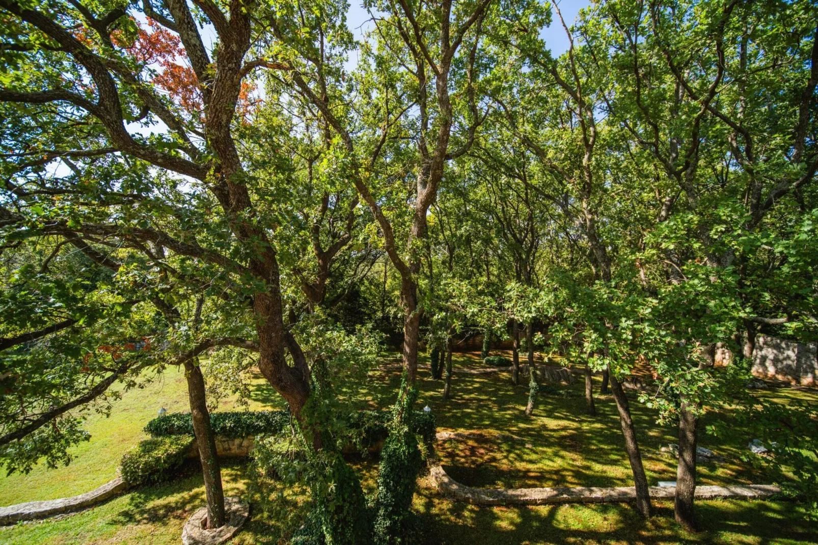 Villa Teresy - Tuinen zomer