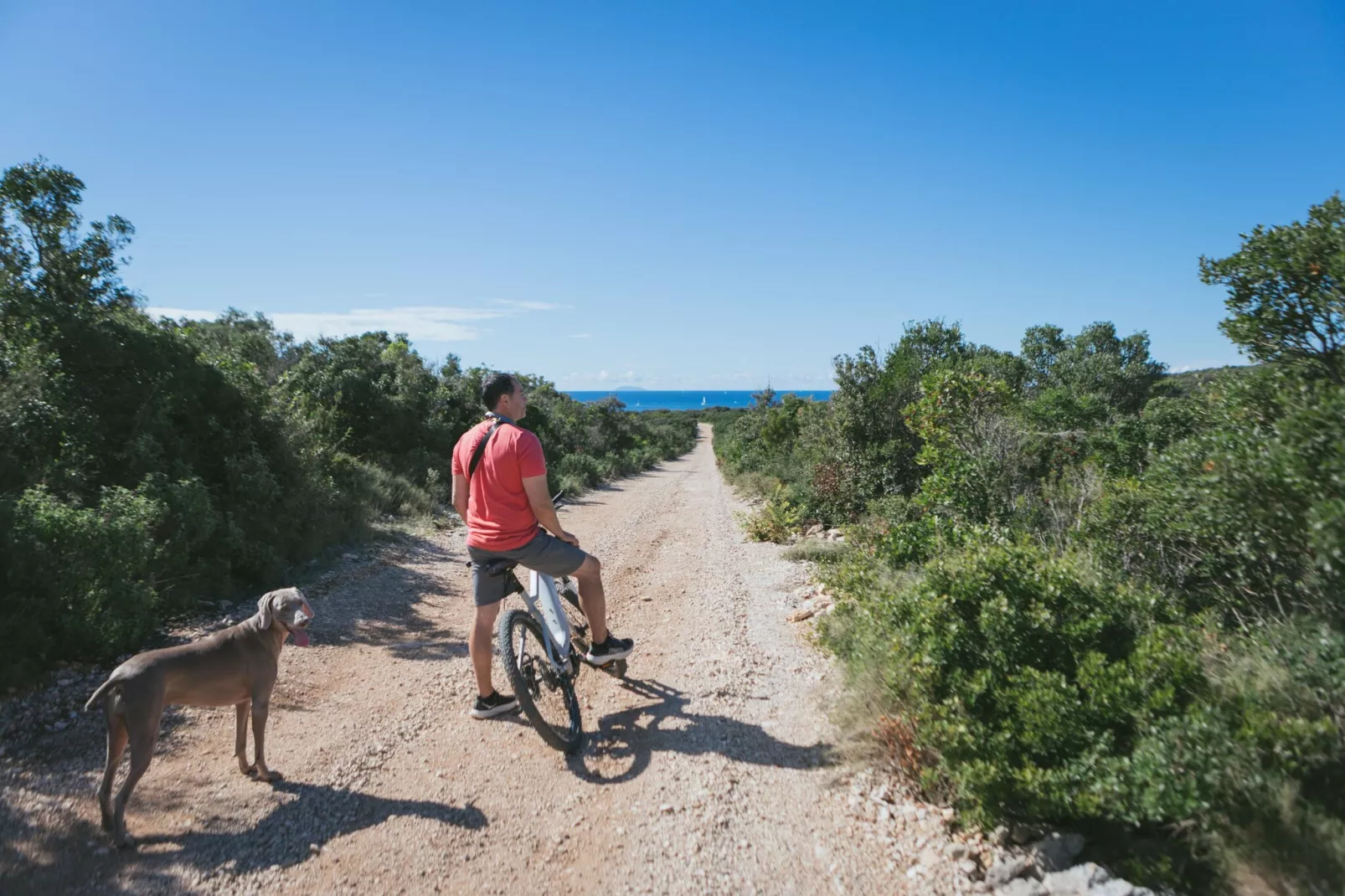 Adriatic Heritage Glamping No 1 - Gebieden zomer 1km