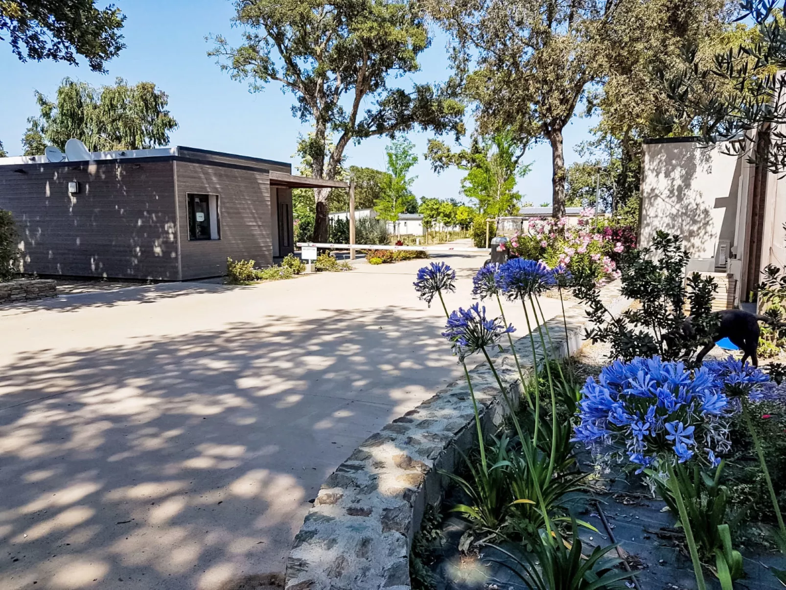 Lodge Natura 6p - Buiten