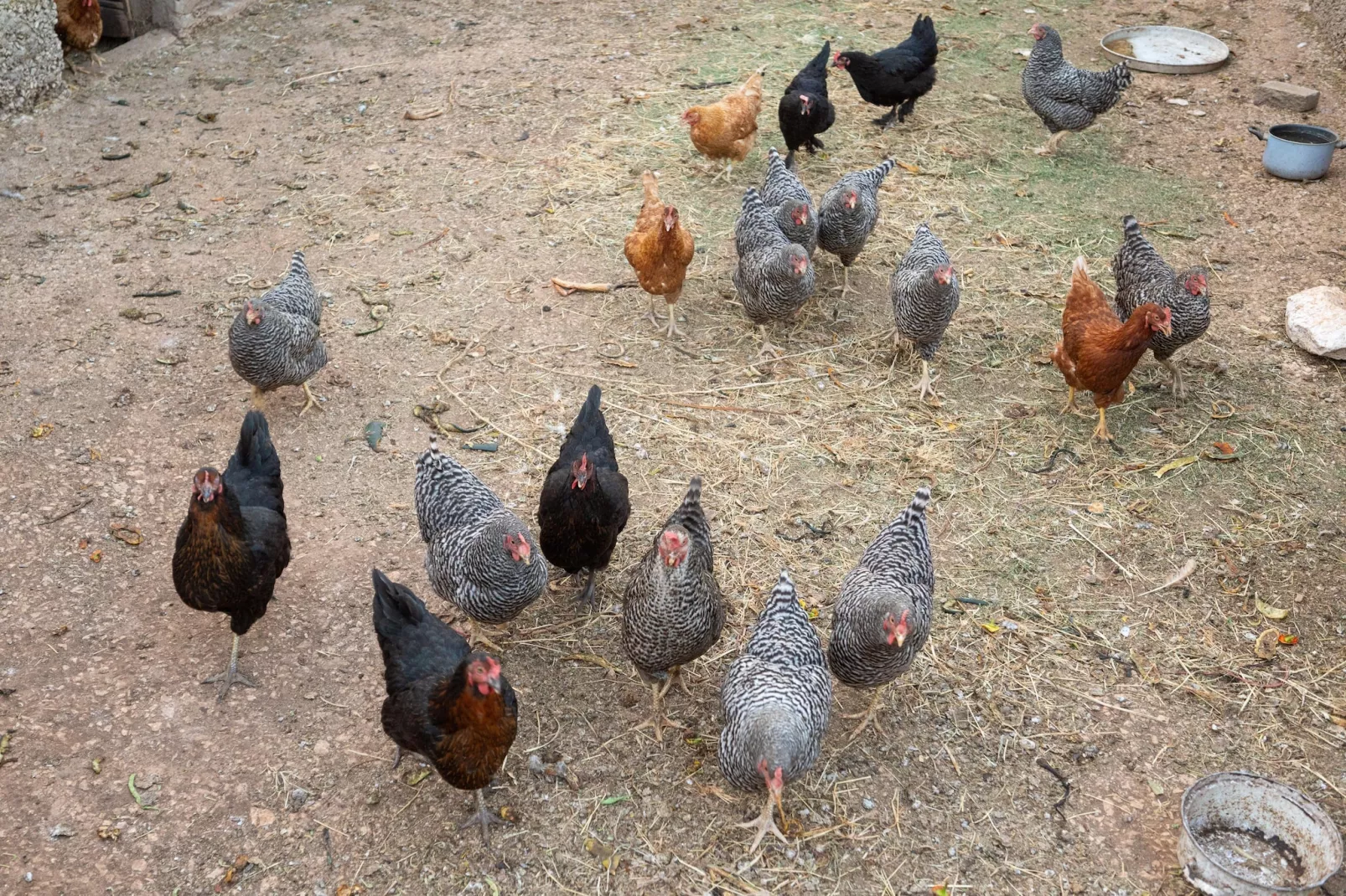 Villa Casa Natura - Sfeer