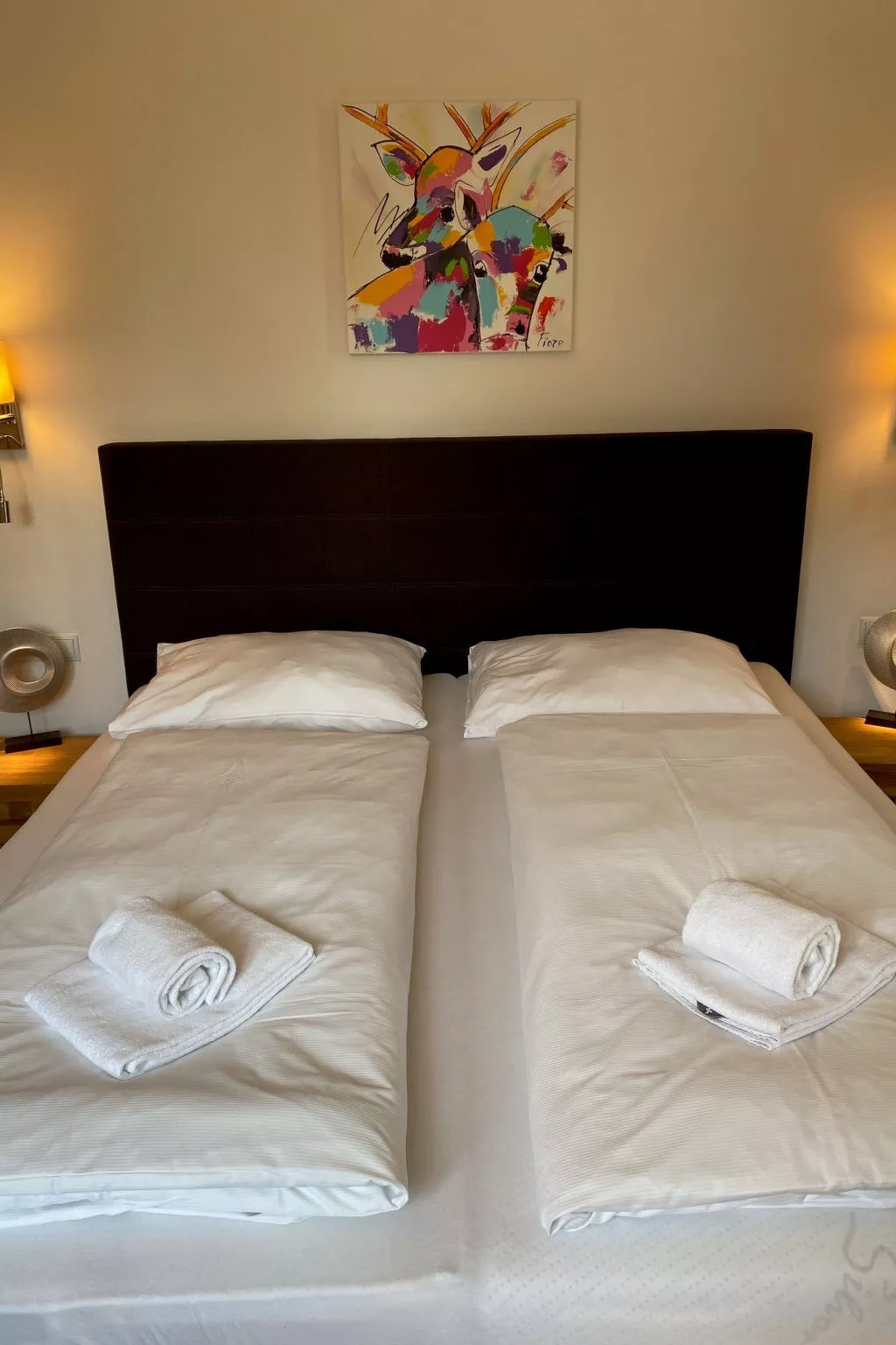 4_ZELL - FöhrenNest Zell am See