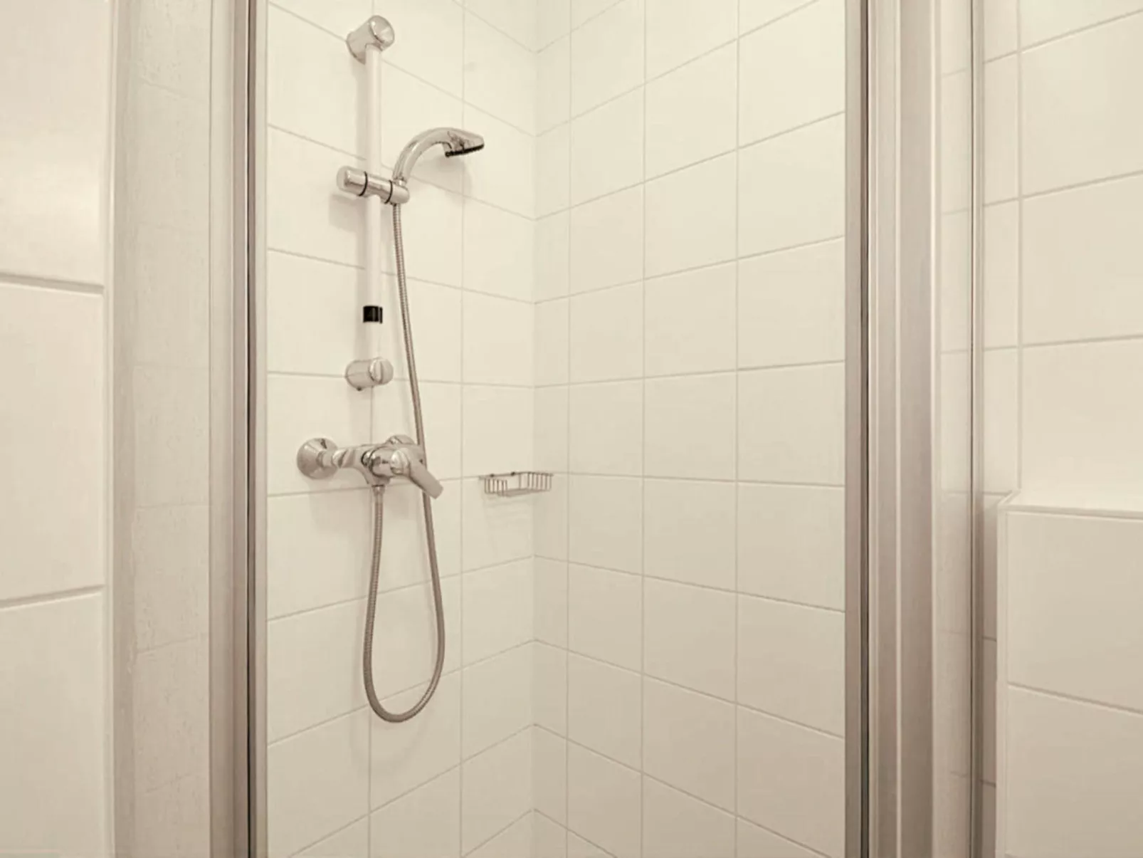 2_Fürth_Kitzsteinhorn Panorama Apartment - Binnen