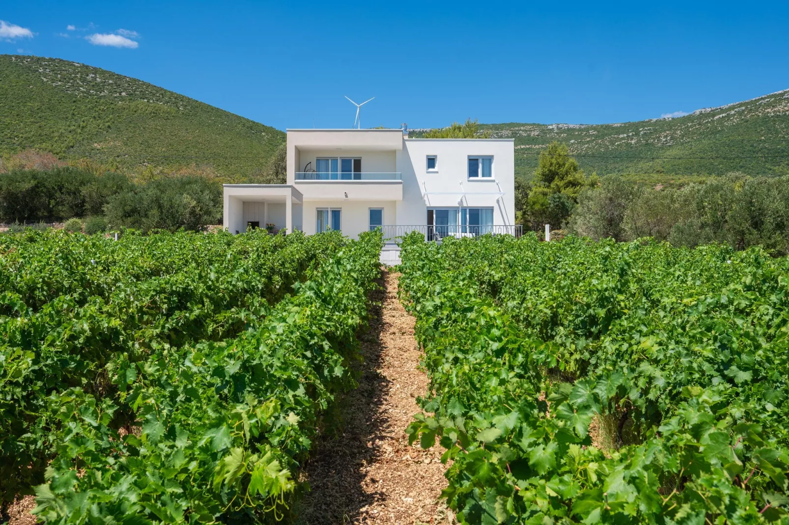 VILLA VISTA VINEA - Buitenkant zomer