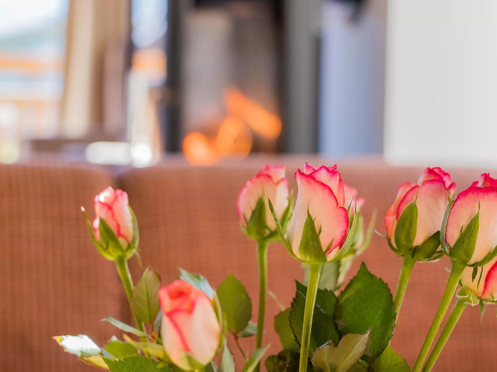 1_ZMO2 - Enzian Chalet - Binnen