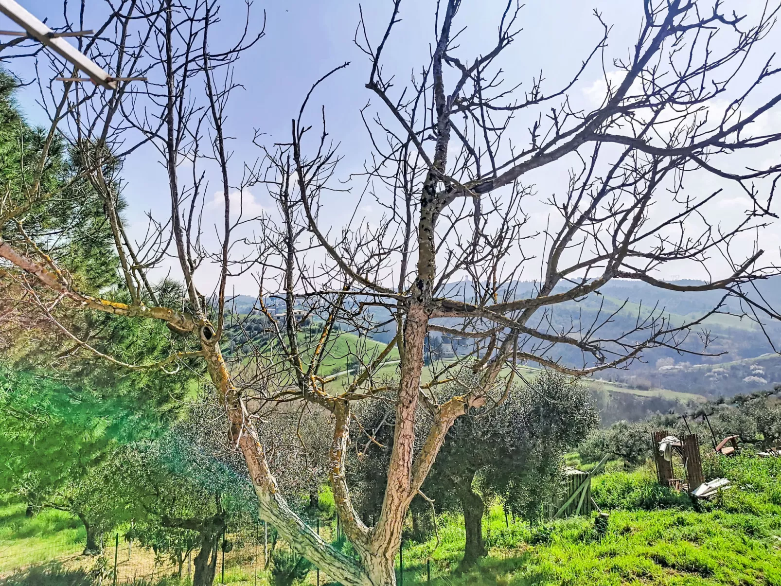 Velia's House - Buiten