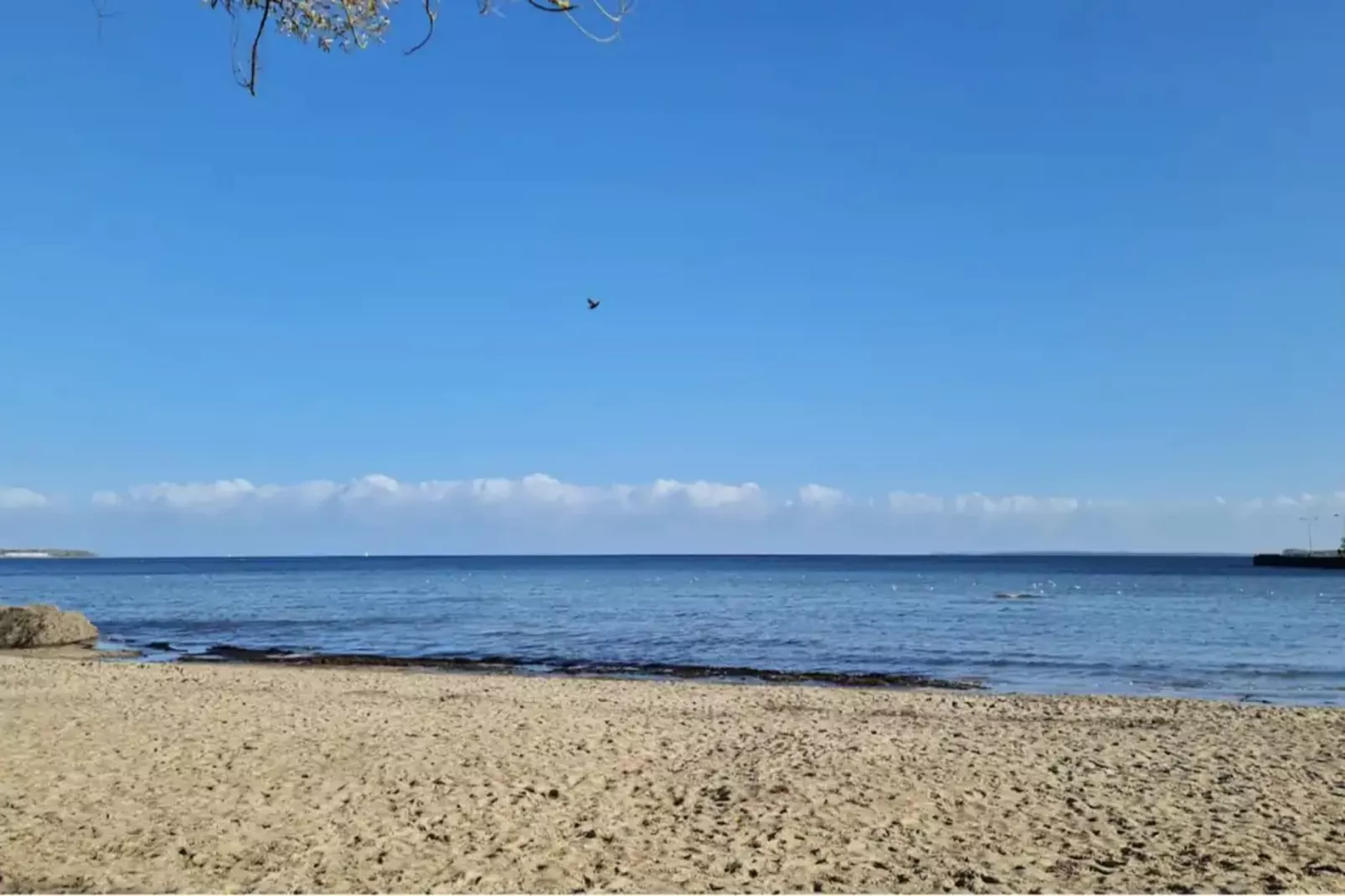 Ferienpark an der Ostsee - FW am Badestrand - Gebieden zomer 1km