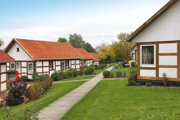 Ferienpark an der Ostsee - Typ 4 - Tuinen zomer