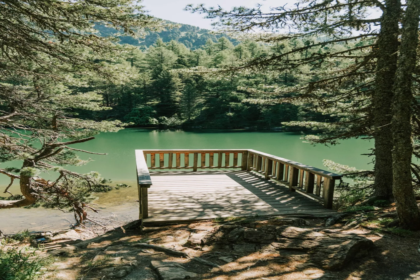 Naturchalets Turracher Höhe 50 - Buitenlucht