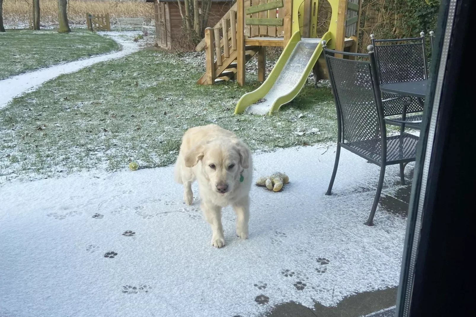 6 - Person Forest Pet & Family Bungalow - Gebied winter 1km