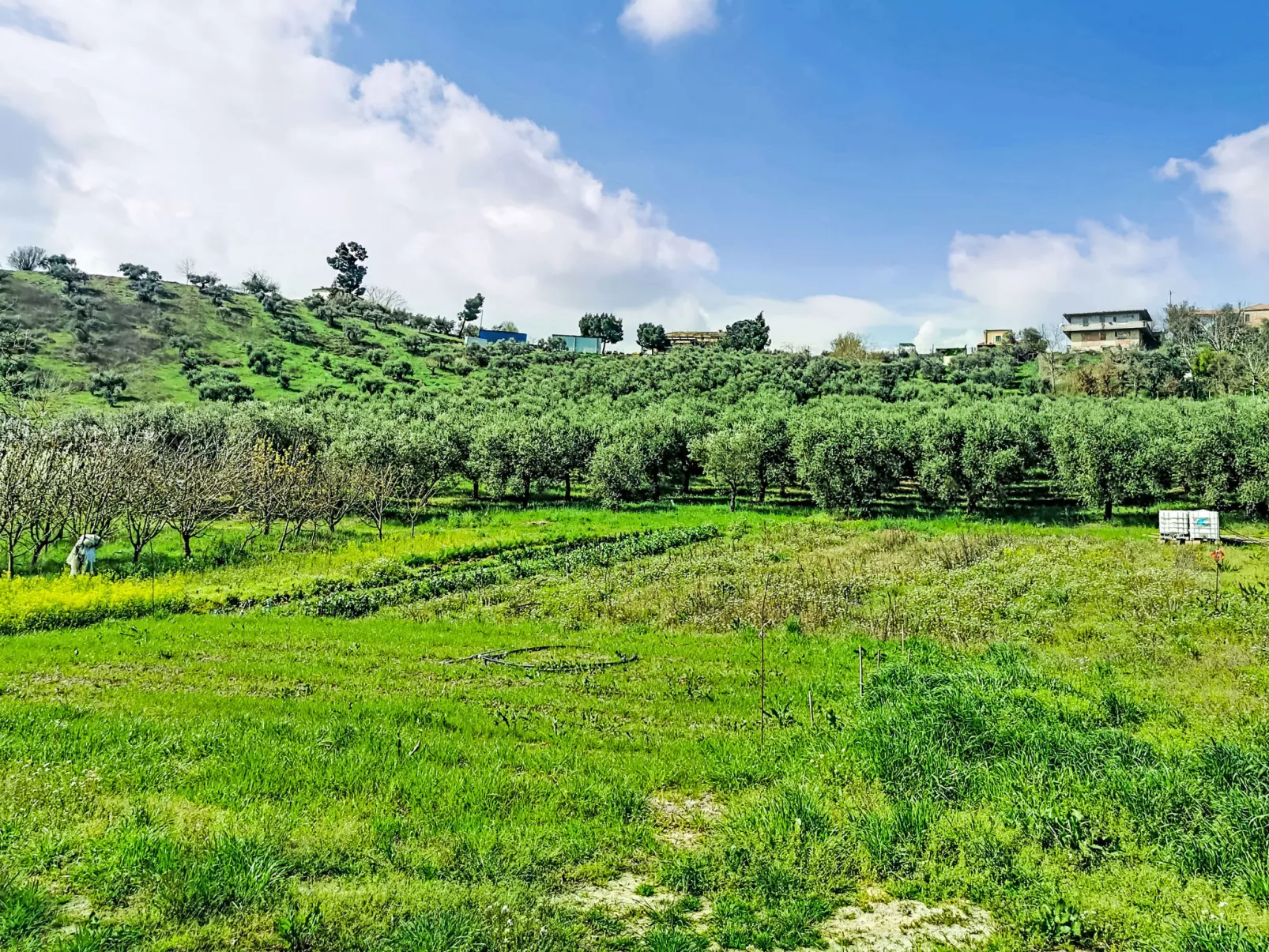 Velia's House - Buiten