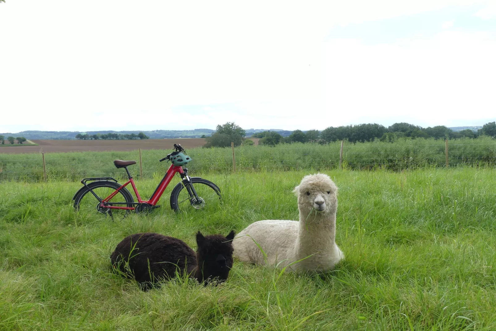 Joli Gite de vacances à Neulliac - Buitenkant zomer