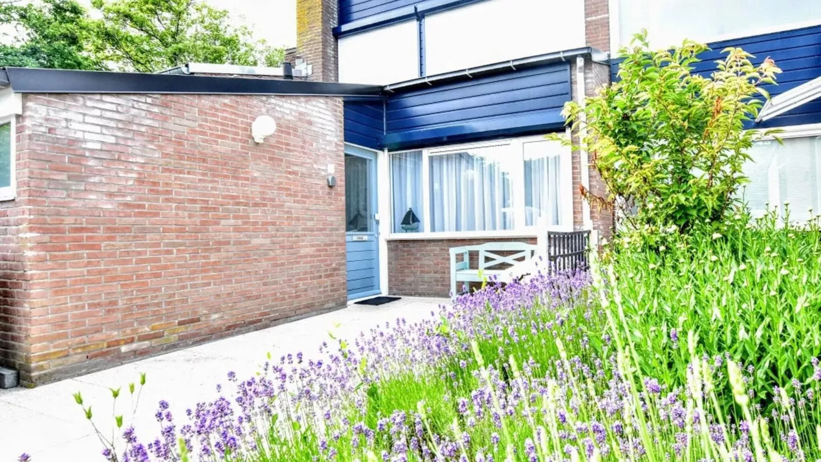 Duinzicht II - Buitenkant zomer