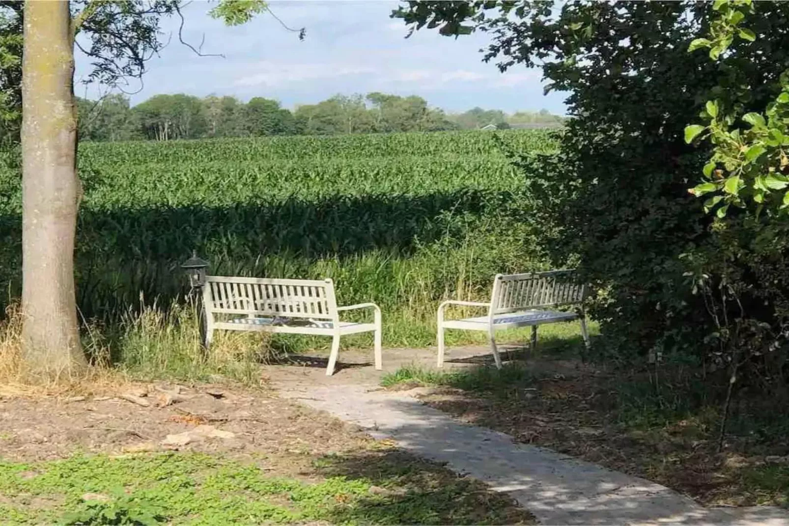 6 - Person Forest Pet & Family Bungalow - Gebieden zomer 5km