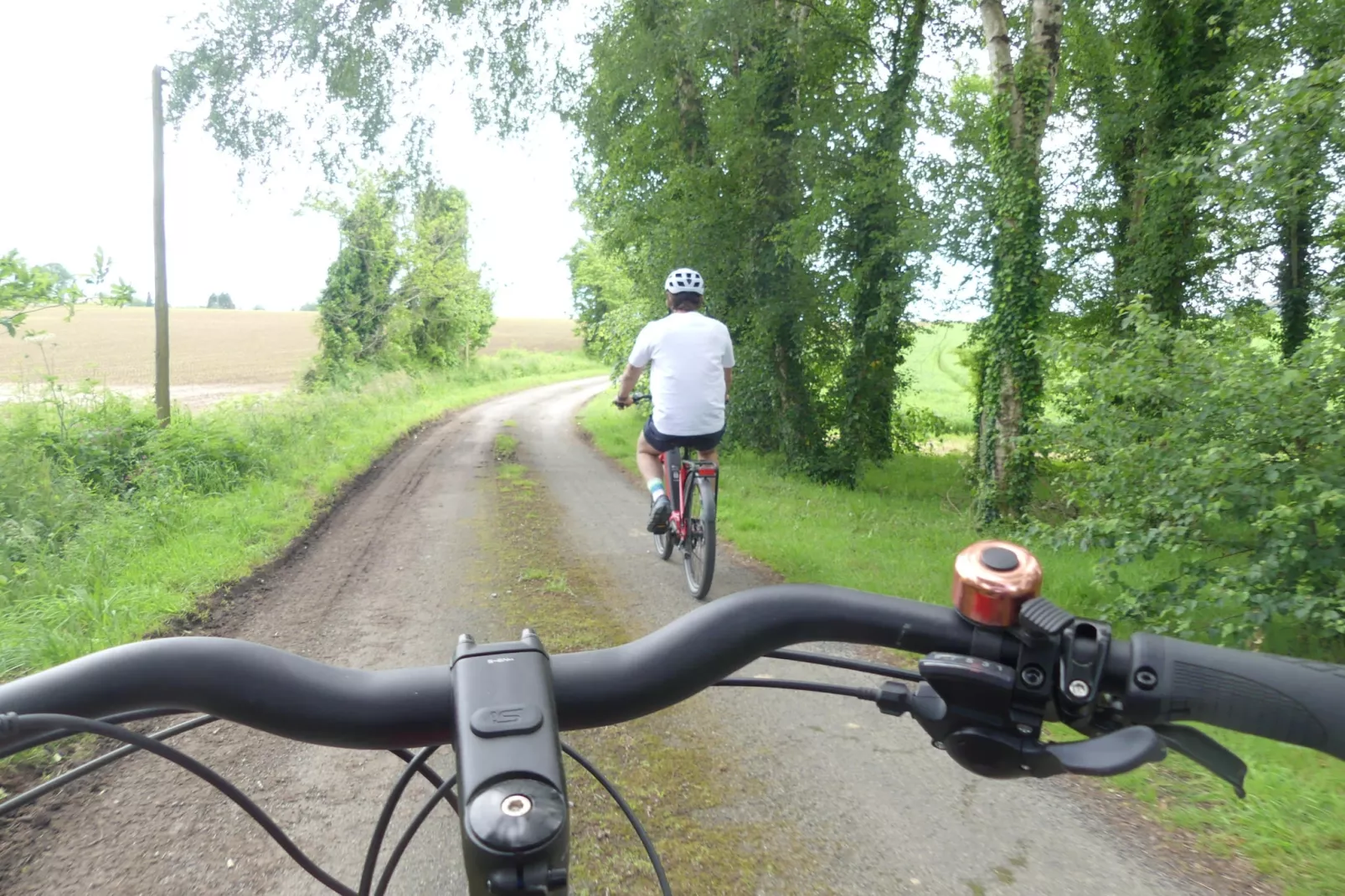 Joli Gite de vacances à Neulliac - Gebieden zomer 5km