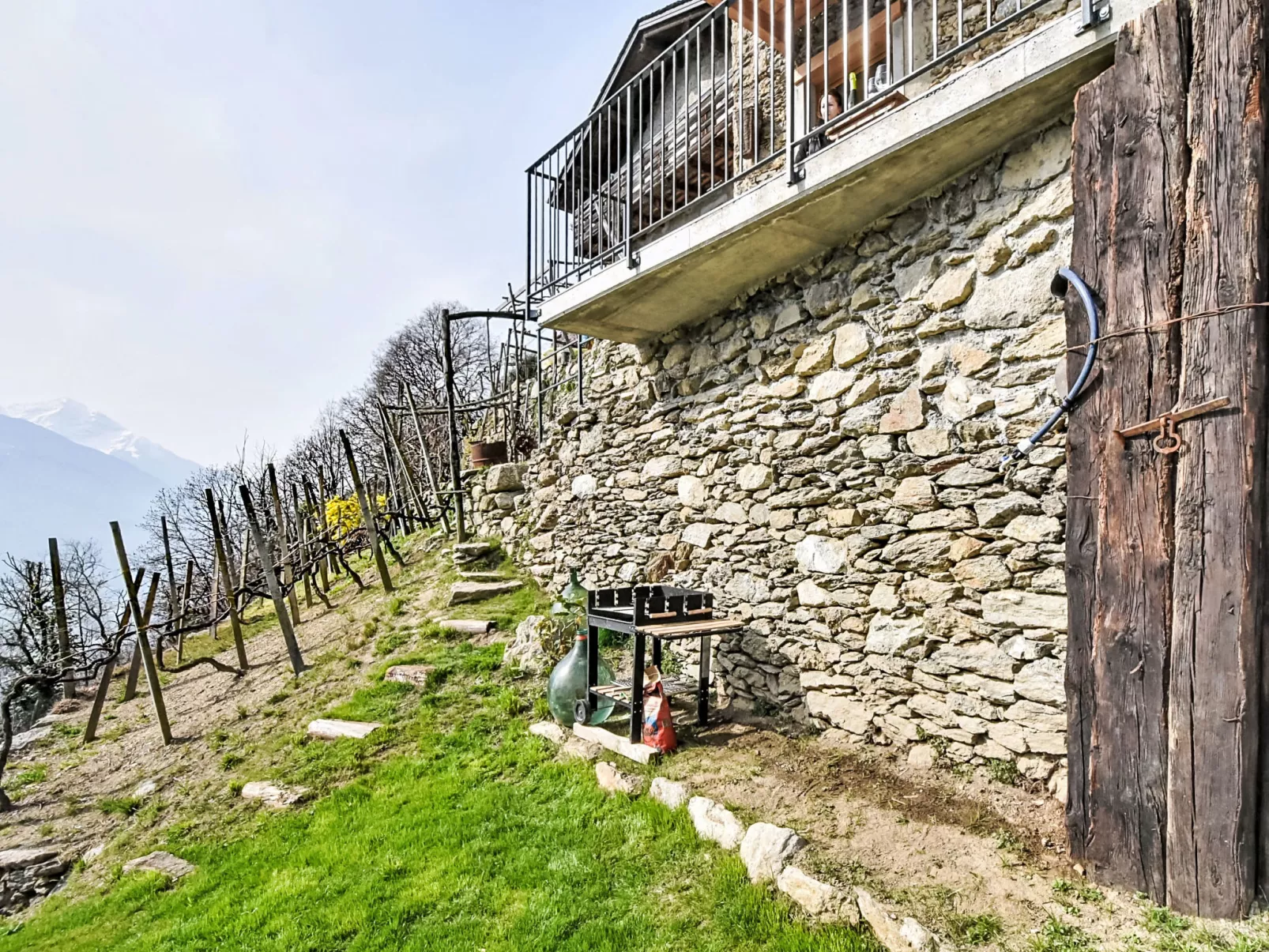 Al Vignale - Le Terrazze - Buiten