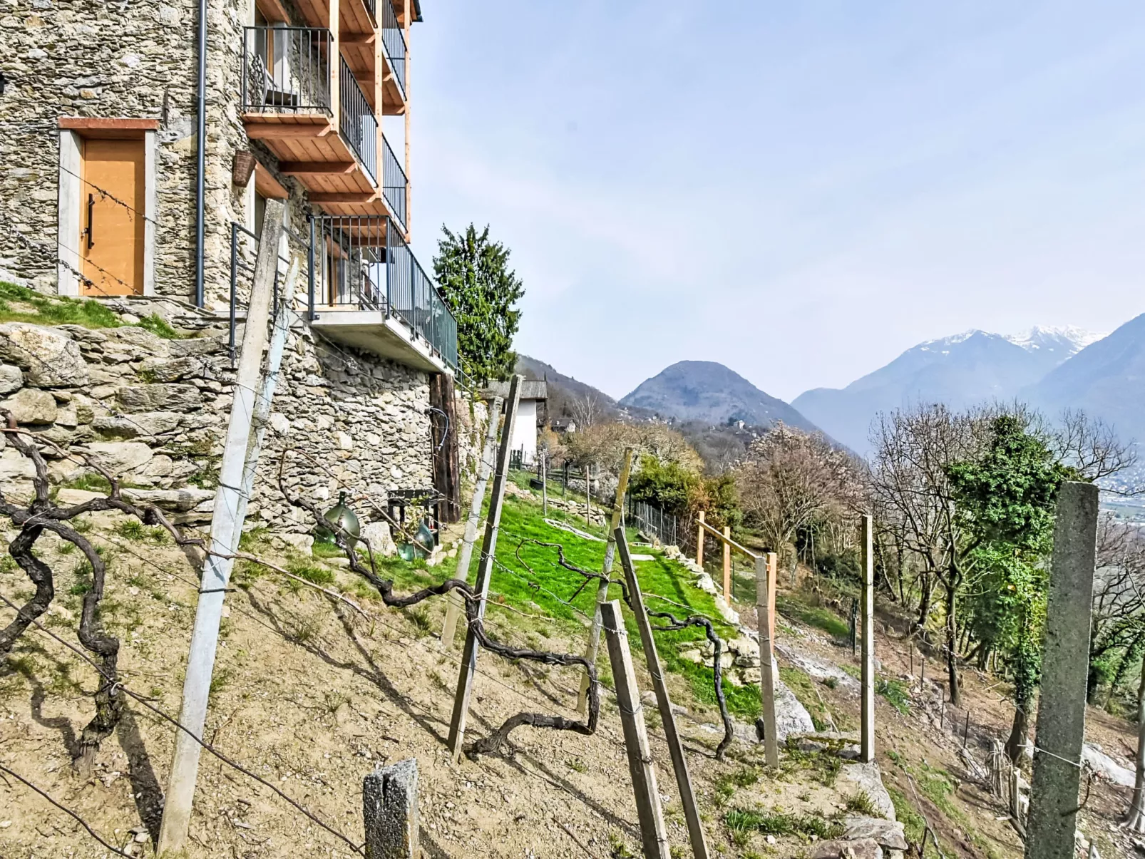 Al Vignale - La Grotta - Buiten