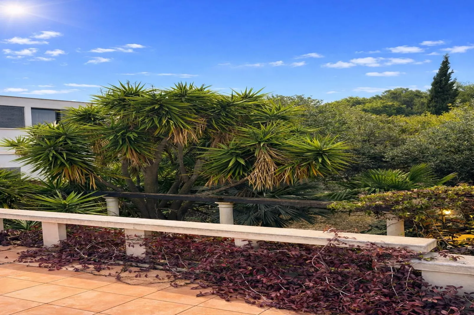 Villa Palma Maris - Tuinen zomer