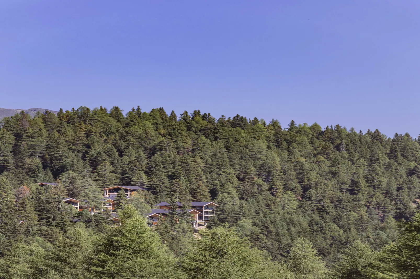 Naturchalets Turracher Höhe 29 - Buitenlucht