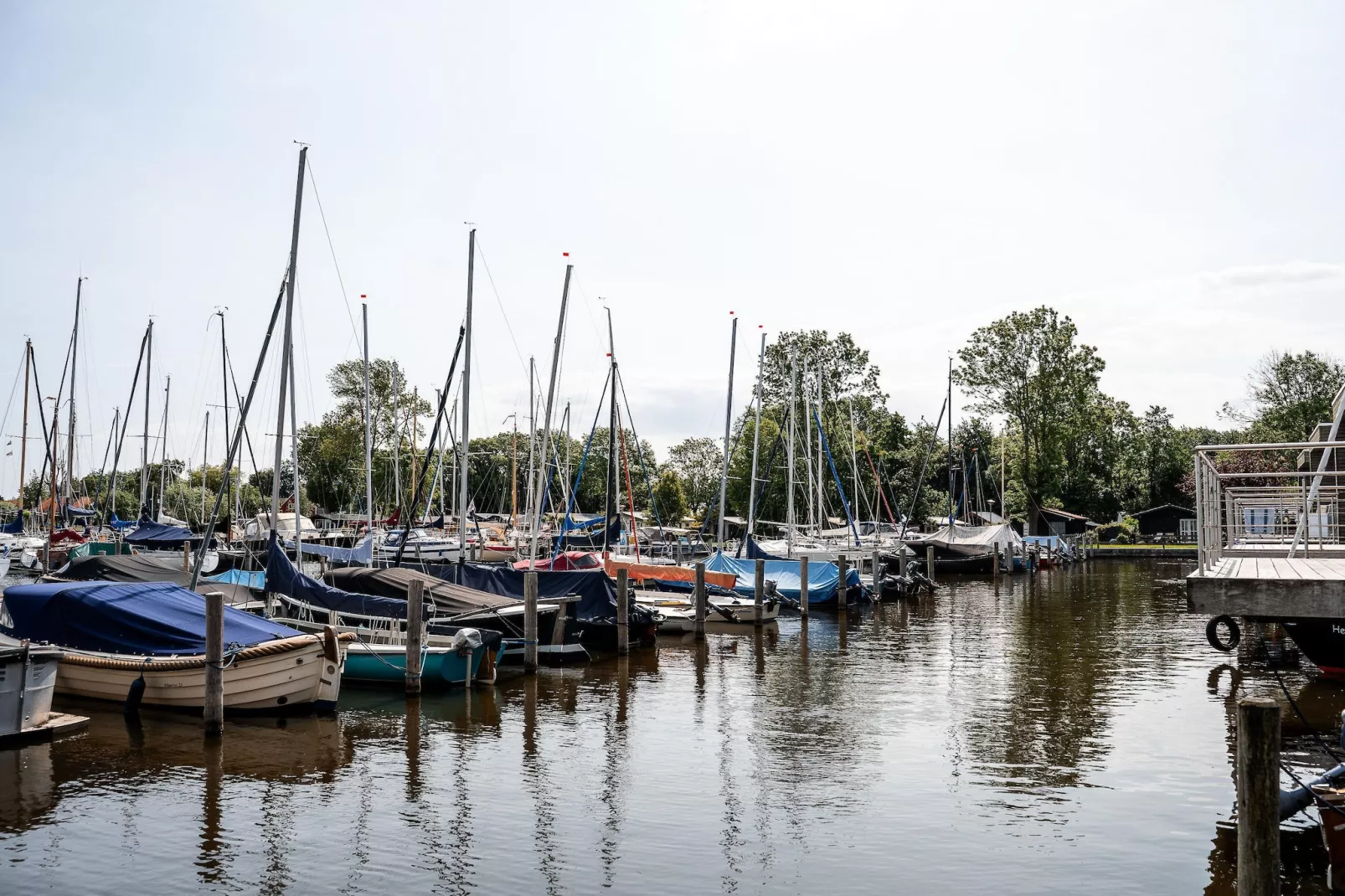 Wetterfrei - Gebieden zomer 1km