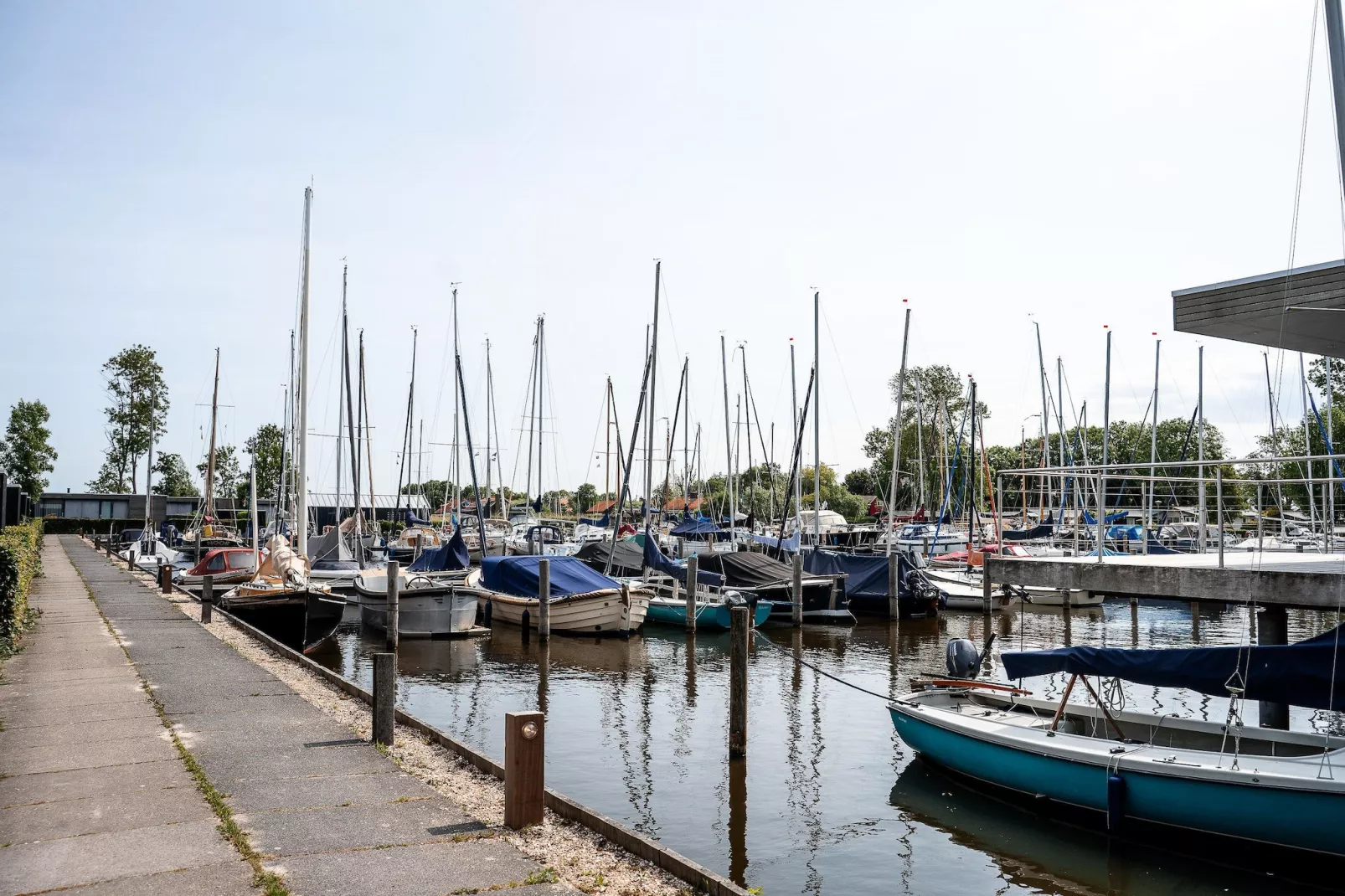Wetterfrei - Gebieden zomer 1km