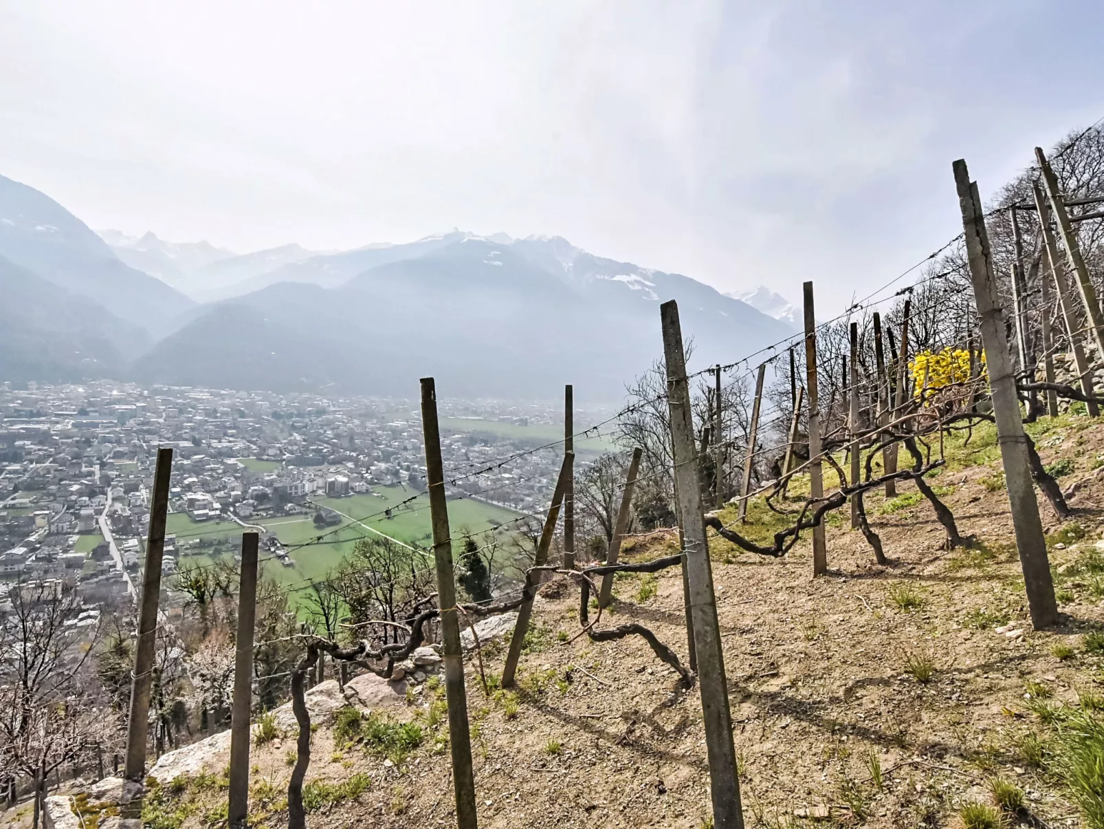 Al Vignale - Le Terrazze - Buiten