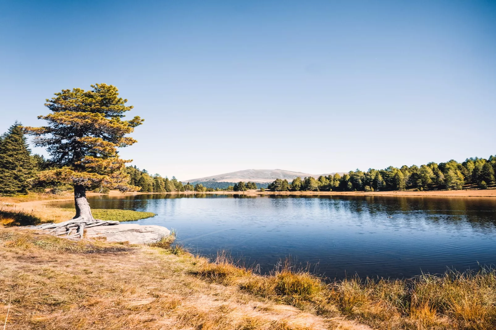 Naturchalets Turracher Höhe 30 - Buitenlucht