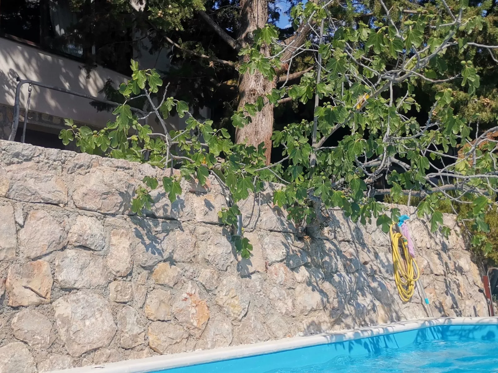 Mit Pool in Lukovo Sugarje - Buiten