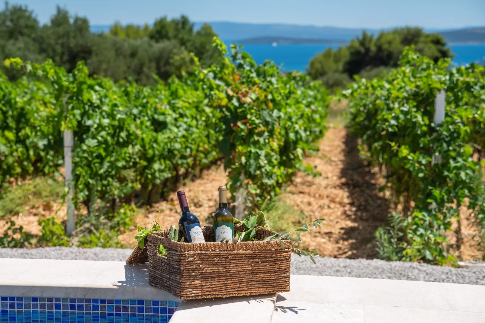 VILLA VISTA VINEA - Uitzicht zomer