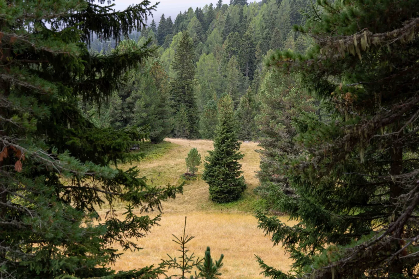 Naturchalets Turracher Höhe 32 - Buitenlucht