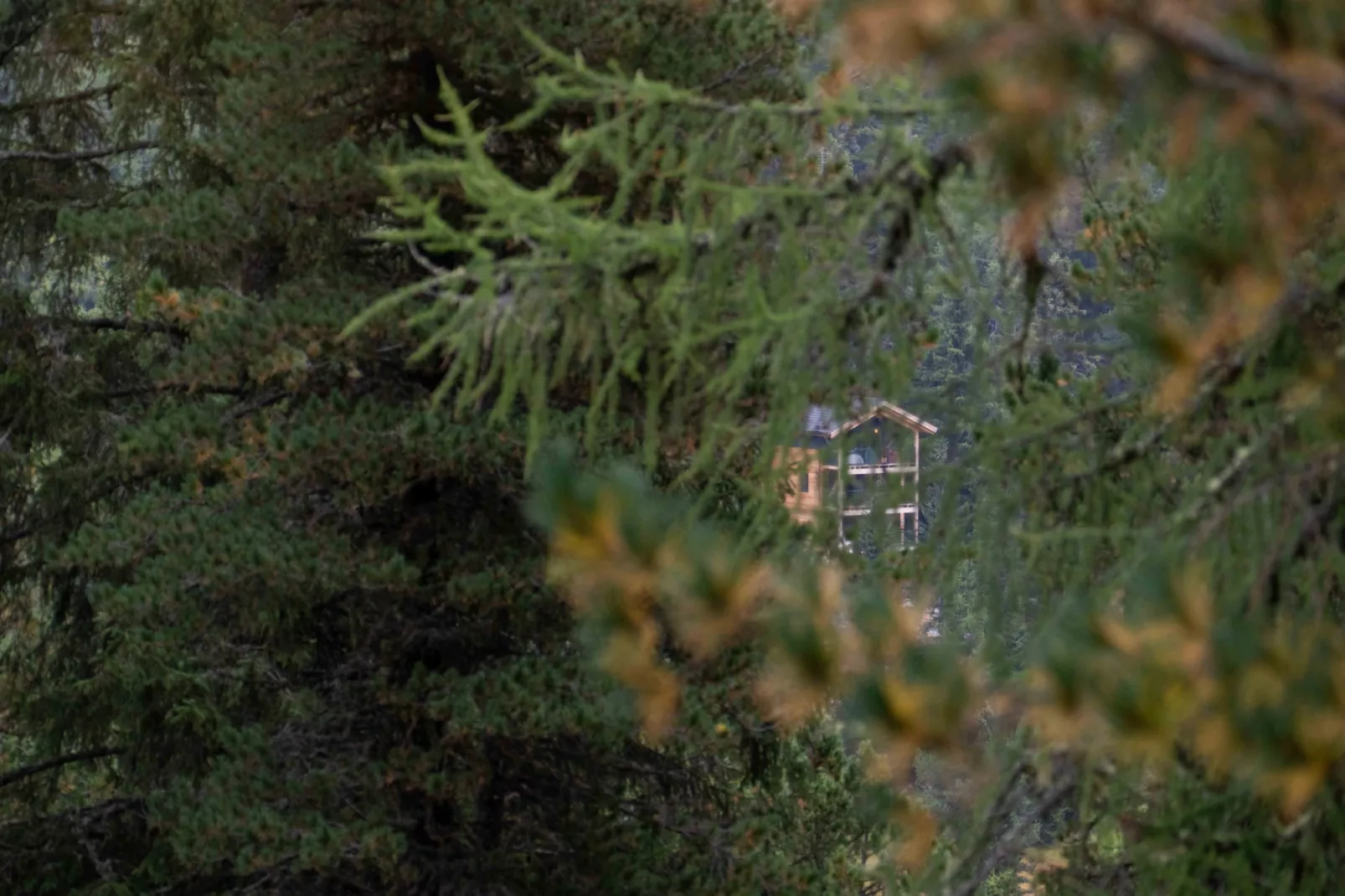 Naturchalets Turracher Höhe 32 - Buitenlucht