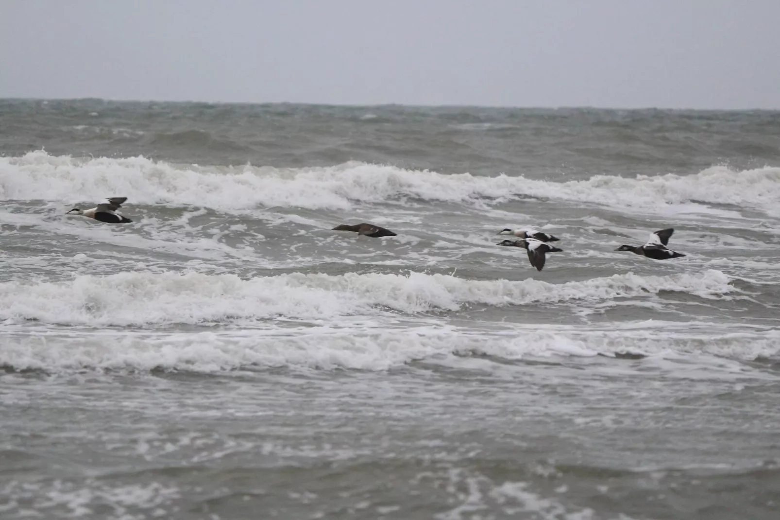 5 sterren vakantie huis in Løkken - Waterzicht
