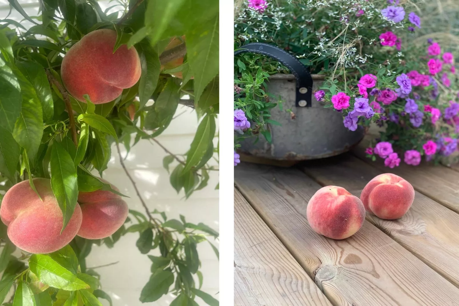 4 sterren vakantie huis in FÄRJESTADEN - Buitenlucht