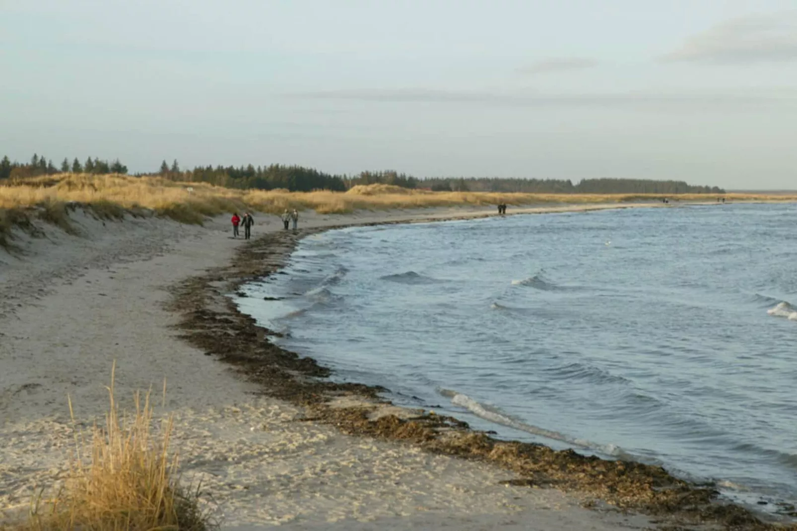 4 persoons vakantie huis in Hals-By Traum - Waterzicht