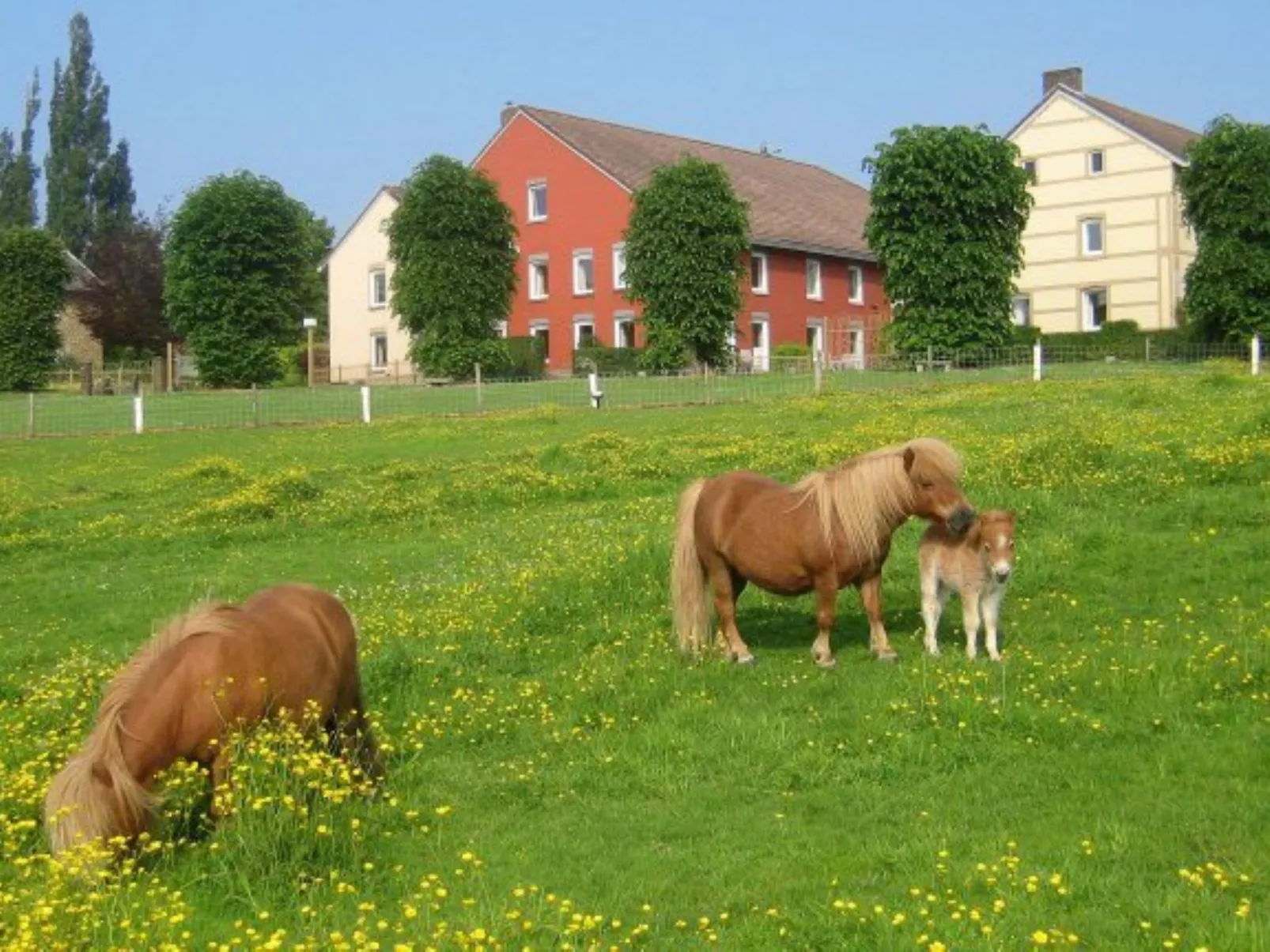 Bungalowpark Landsrade - Buiten