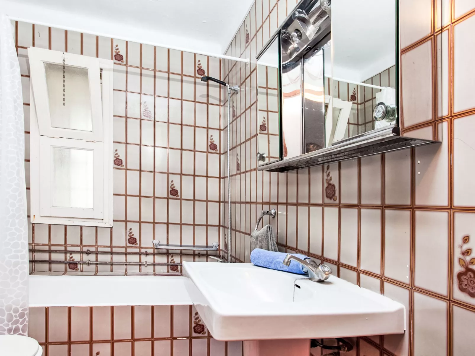 Mas Reixach - Binnen