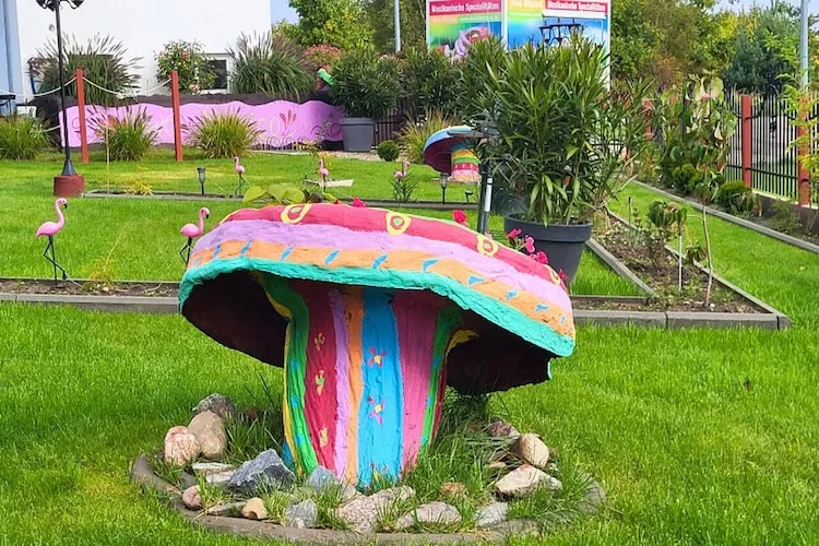 Domy wakacyjne dla max 6 osób w Dębinie - Tuinen zomer