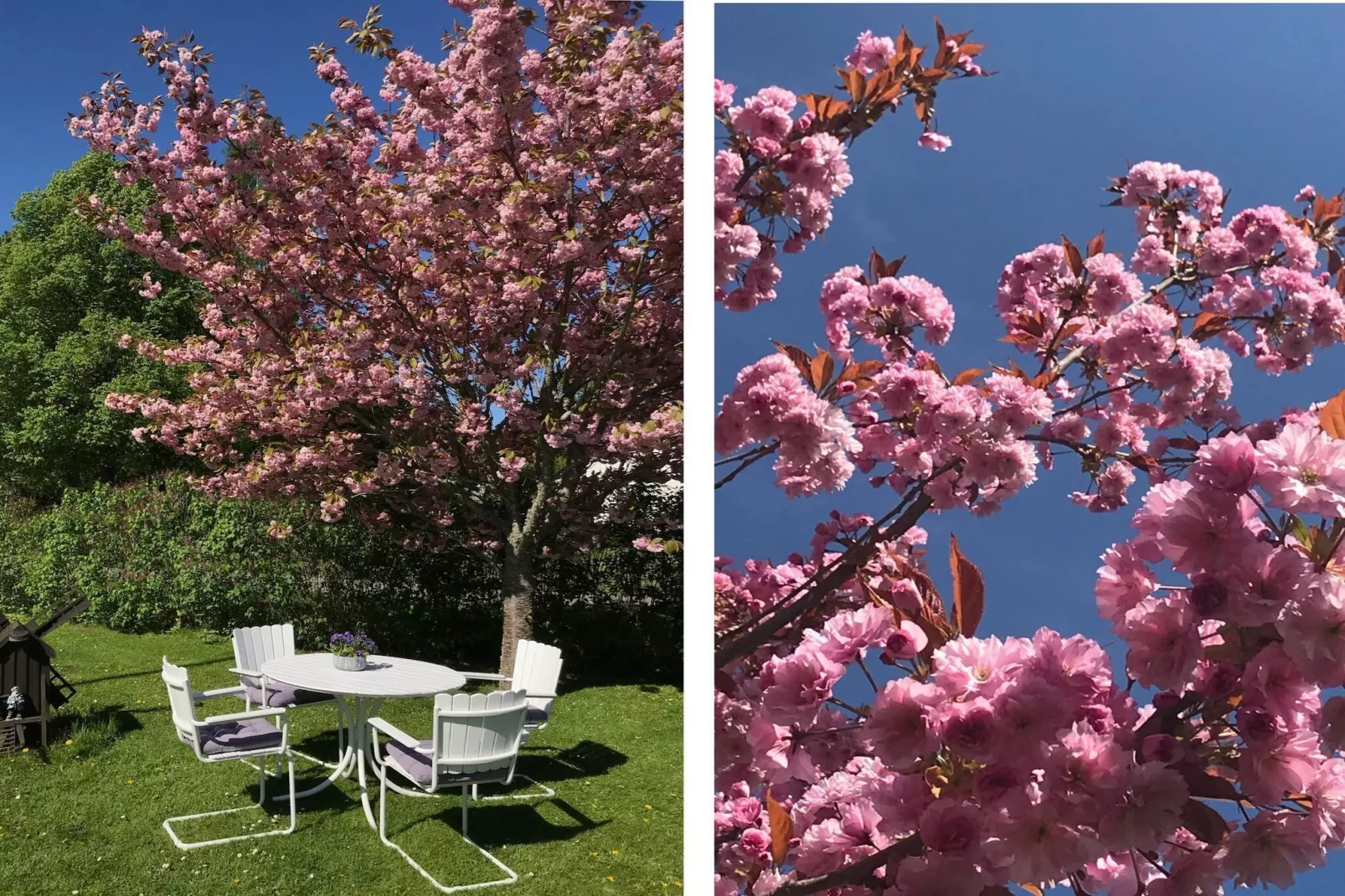 4 sterren vakantie huis in FÄRJESTADEN - Buitenlucht