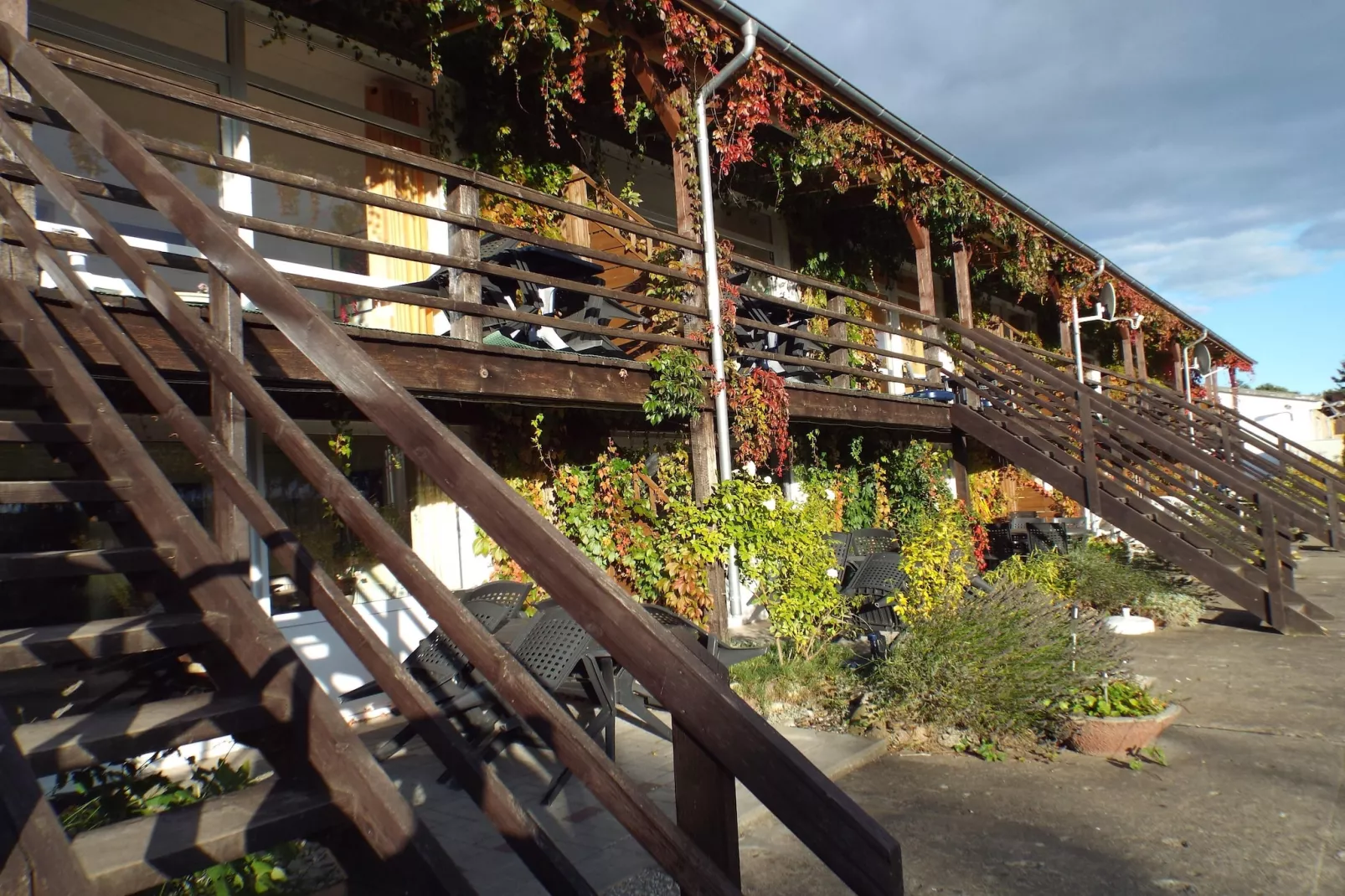 Fewo 05 6 P OG - Uitzicht zomer