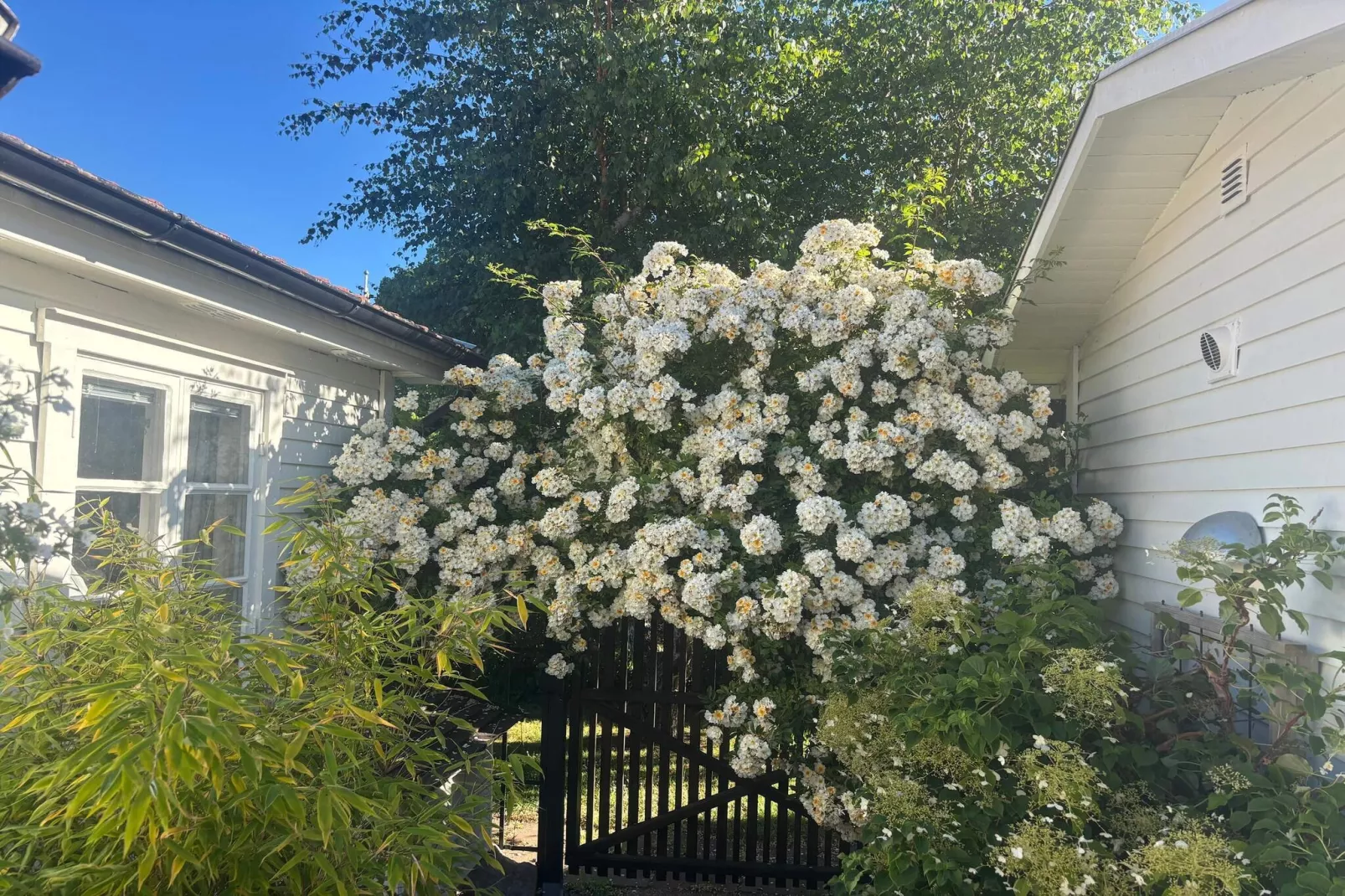 4 sterren vakantie huis in FÄRJESTADEN - Buitenlucht