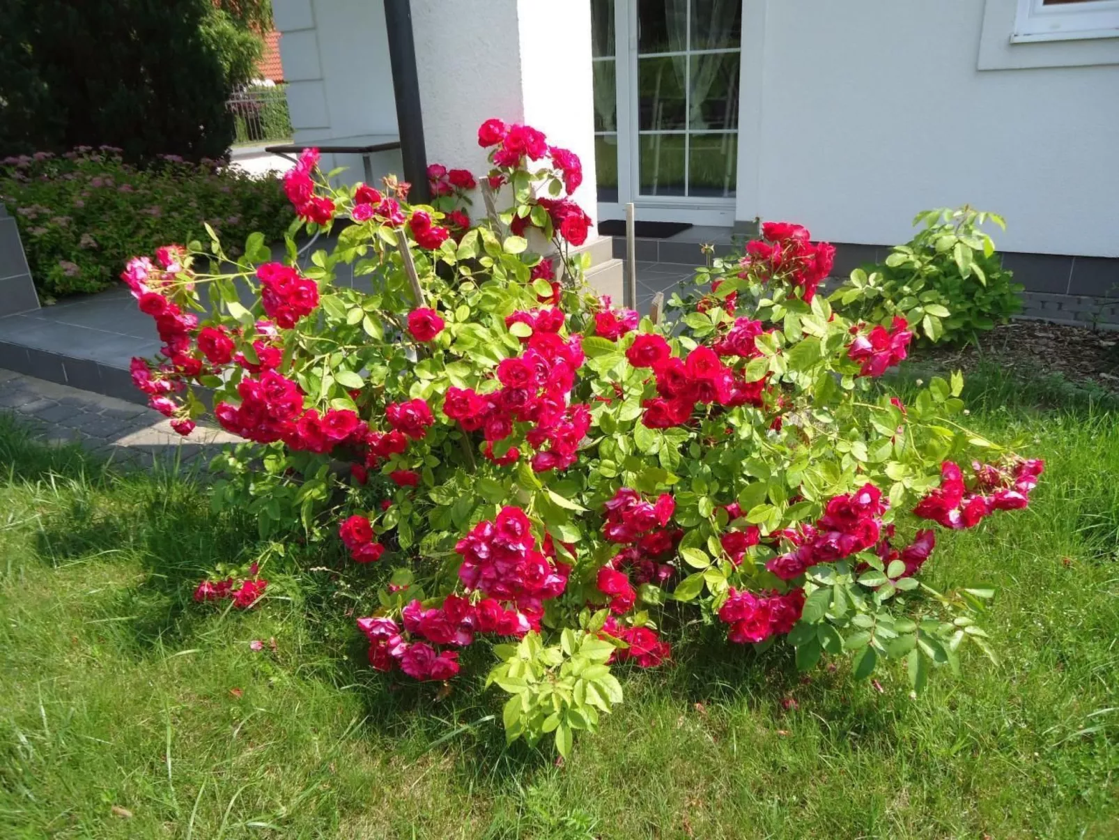 Wohnung in Rowy mit Grill, Terrasse, Parkplatz u - Buiten