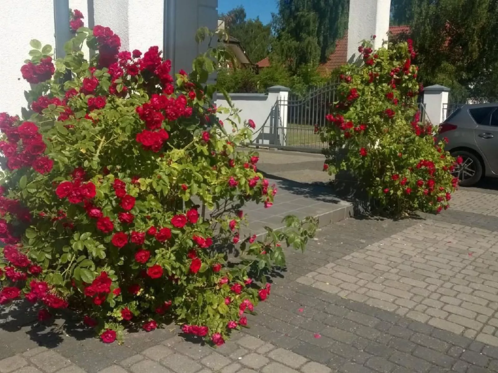 Gemütliche Wohnung in Rowy mit Terrasse, Grill, - Buiten