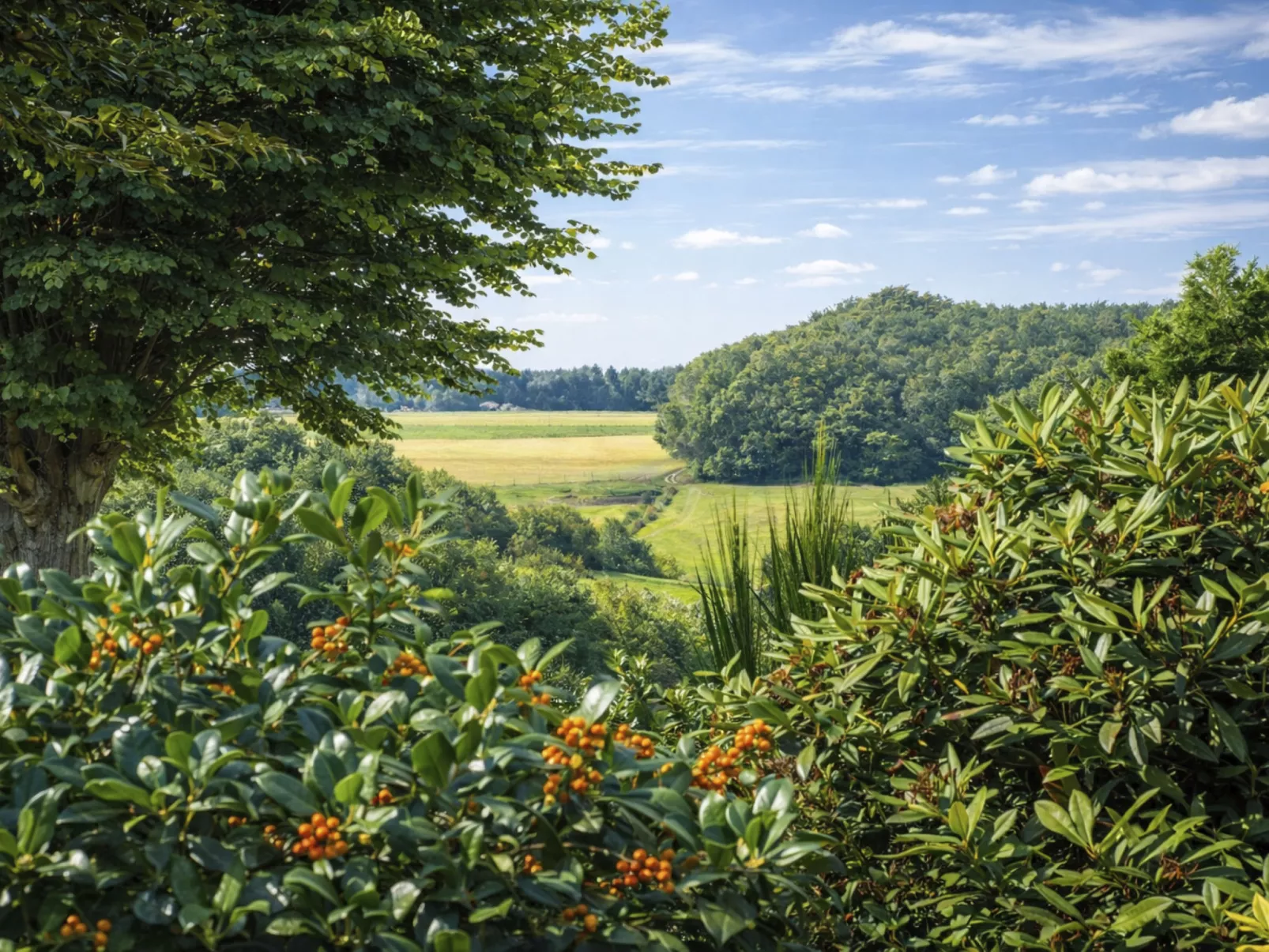 Bungalowpark Landsrade - Buiten