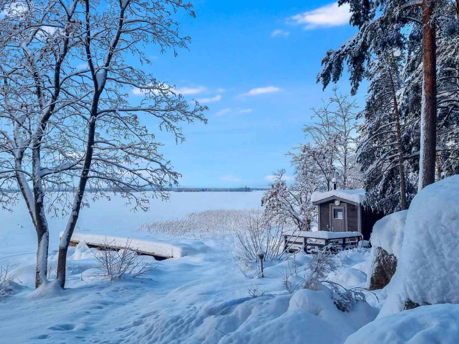 Villa skitunäs - Binnen