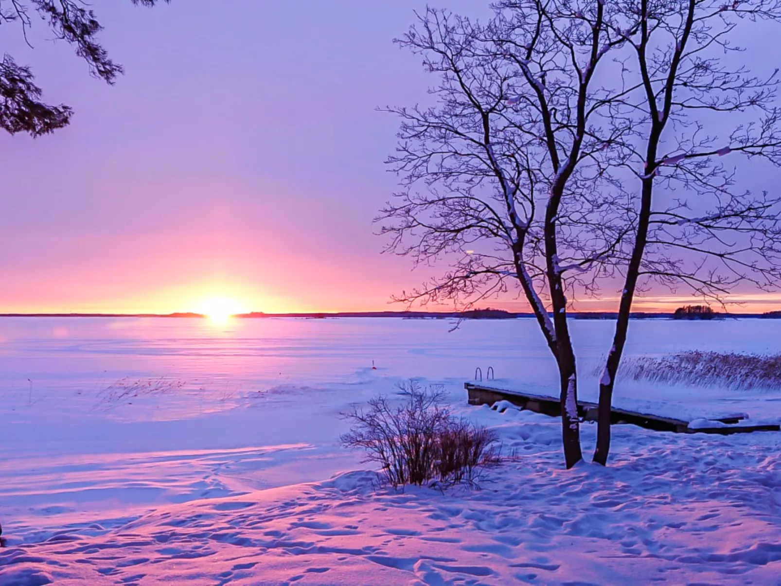 Villa skitunäs - Binnen