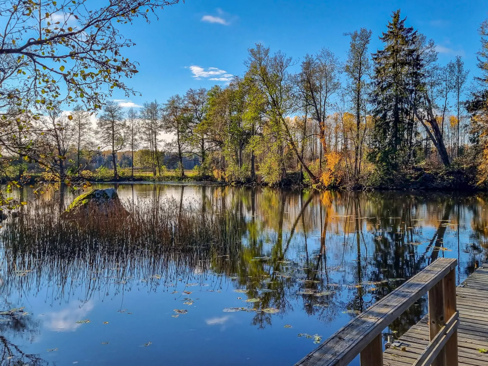 Villa kaunisvirta - Binnen