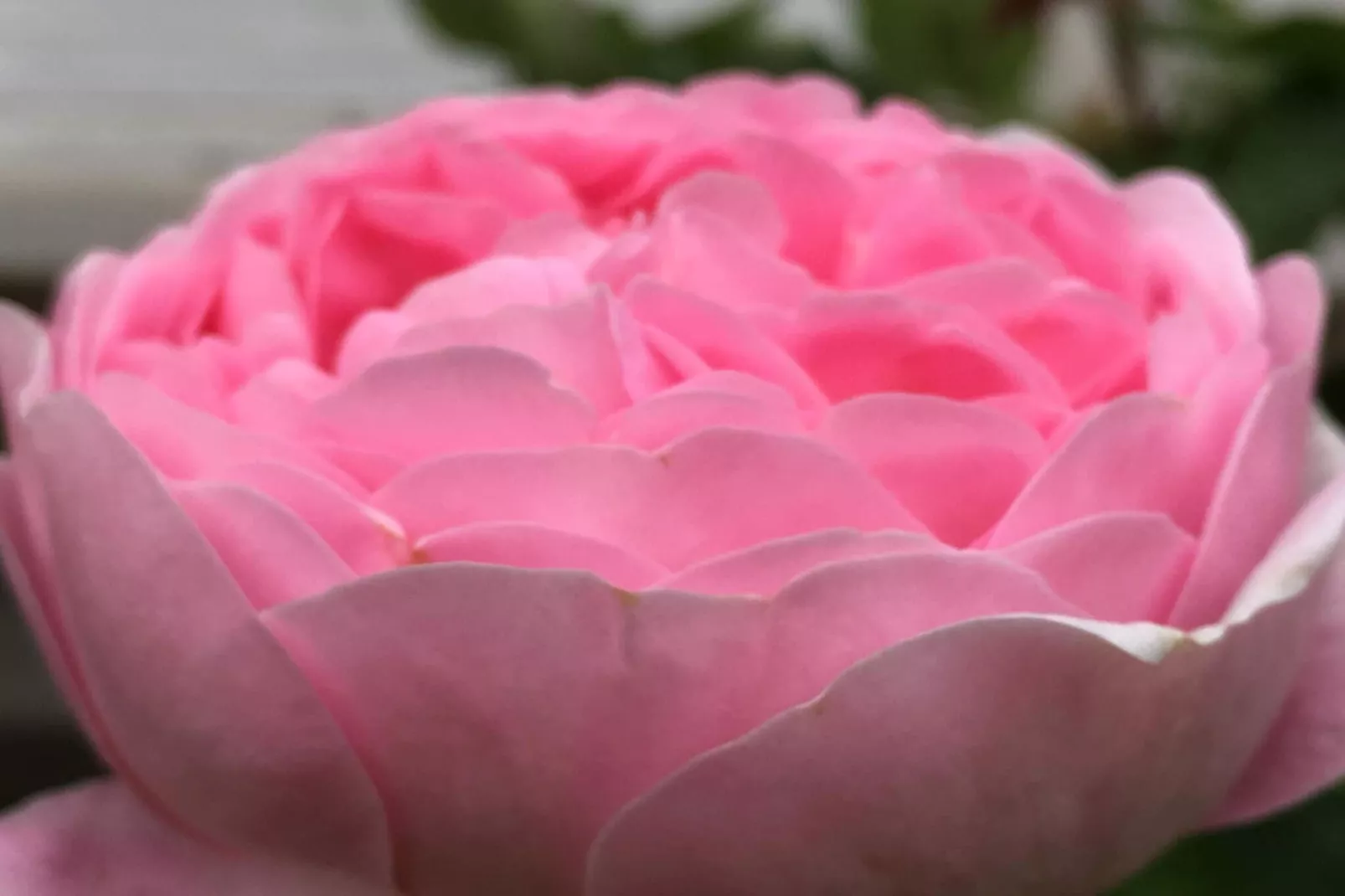 4 sterren vakantie huis in FÄRJESTADEN - Niet-getagd