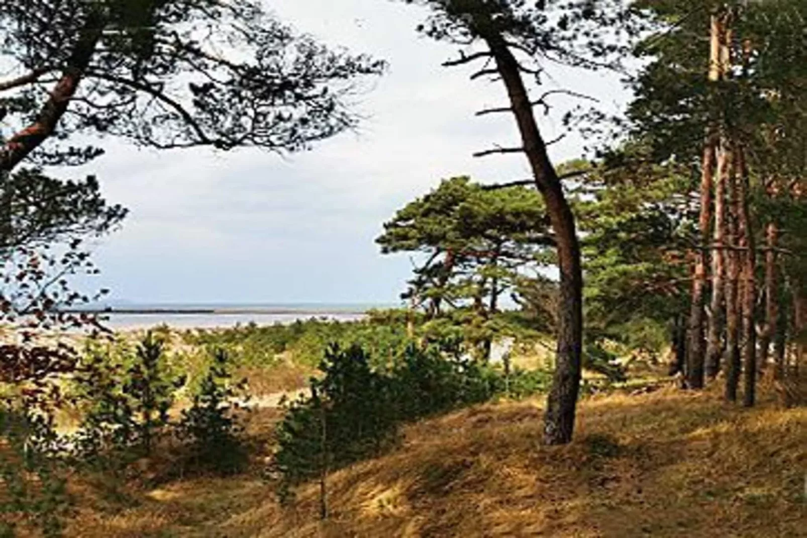 Ferienwohnung Rügenblick - Gebieden zomer 5km