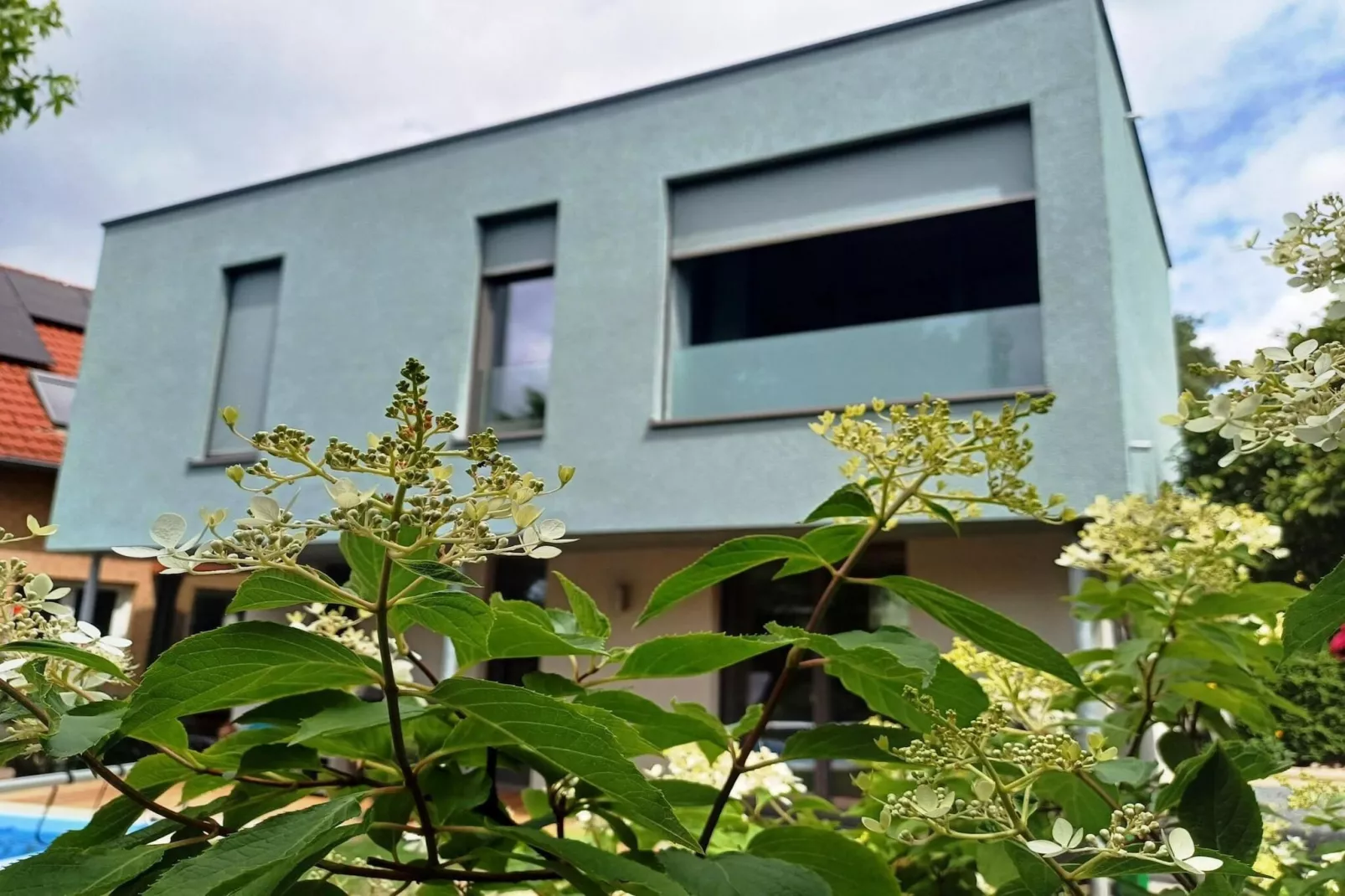 Fewo Amber 3 P - Buitenkant zomer