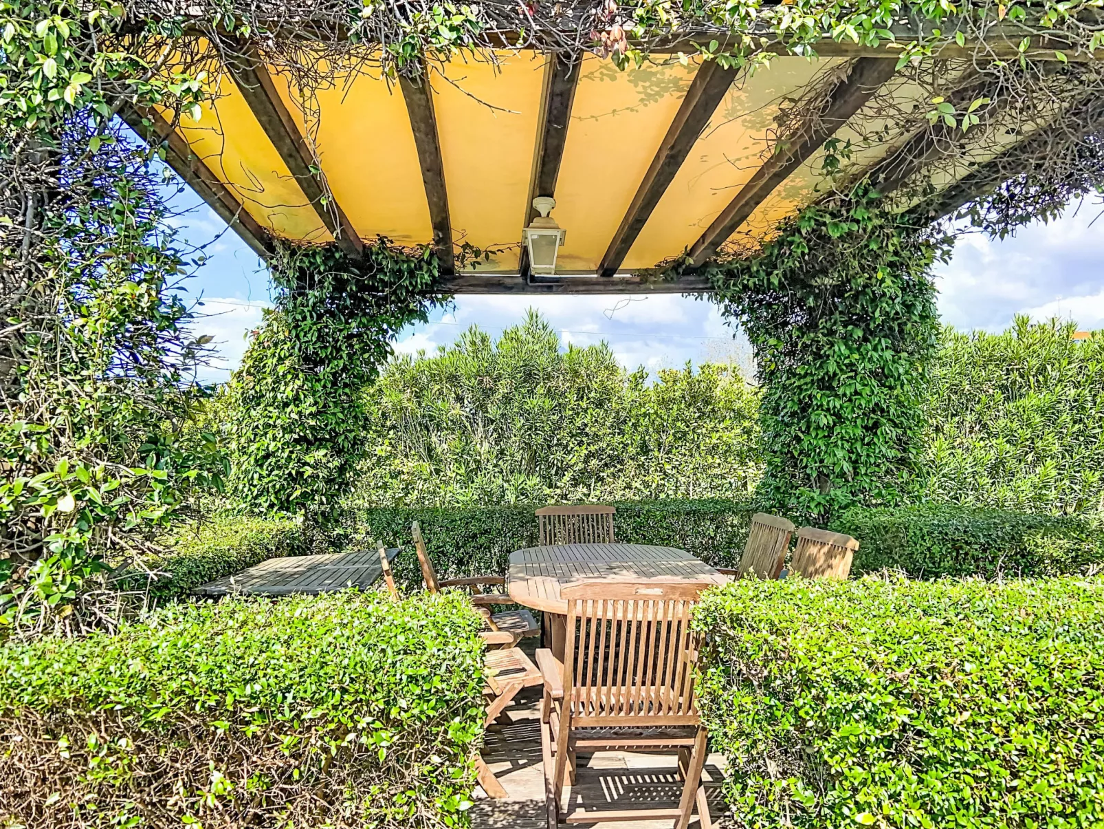 Villa gli Olivi - Buiten